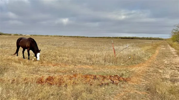 $750,000 | Tbd Iberis Road, Abilene, TX 79606