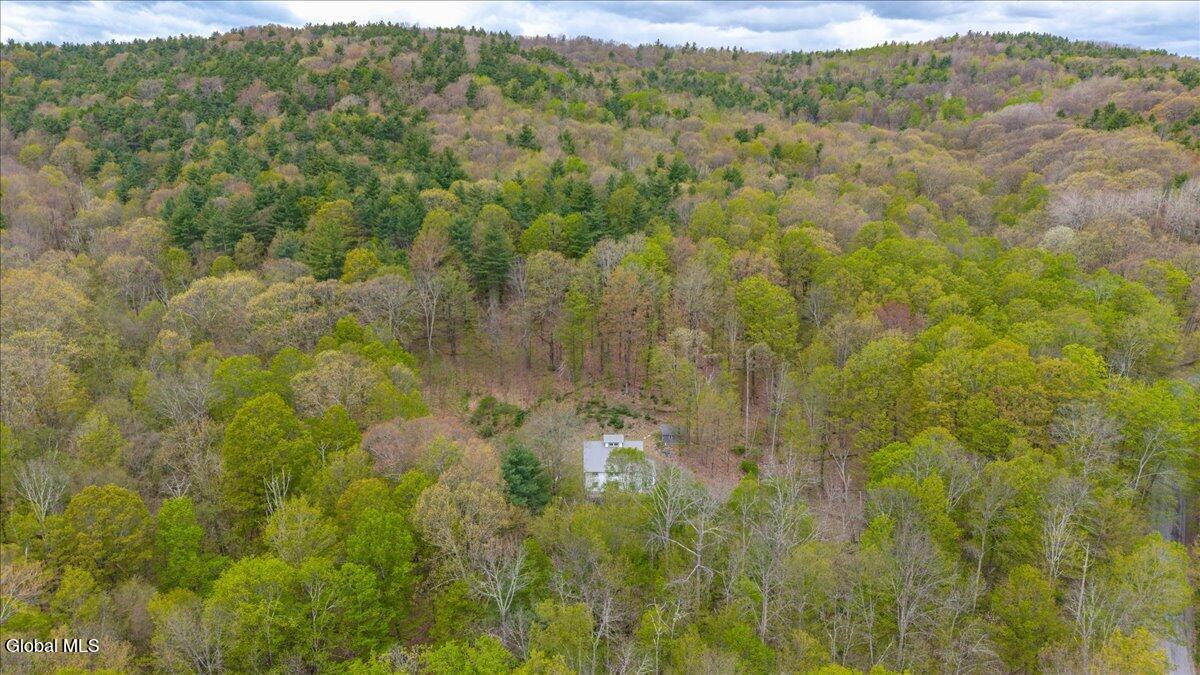 235 Colfax Road Jackson, NY 12816 - Photo 41 of 53 53-235 Colfax Rd-10