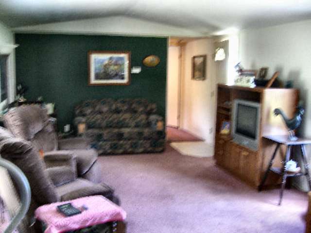 2175 Skeels Road Addy, WA 99101 - Photo 3 of 9