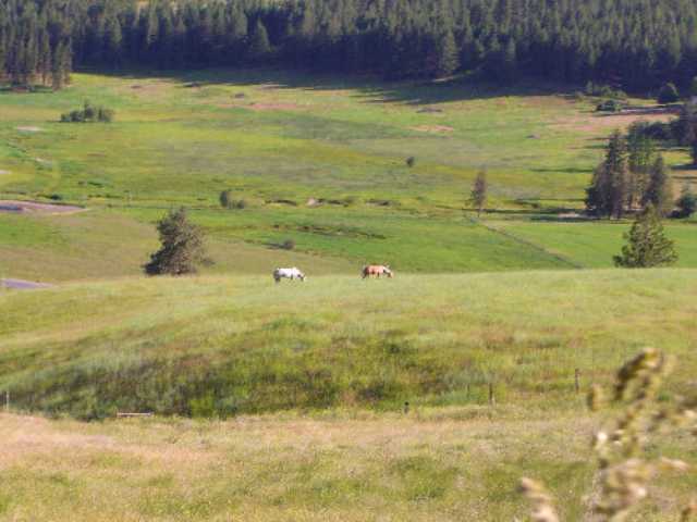 2175 Skeels Road Addy, WA 99101 - Photo 5 of 9