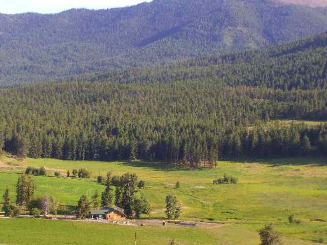 2175 Skeels Road Addy, WA 99101 - Photo 6 of 9