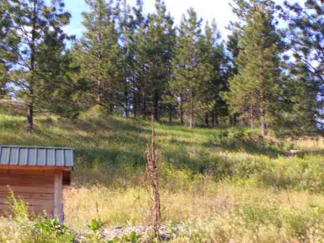 2175 Skeels Road Addy, WA 99101 - Photo 7 of 9