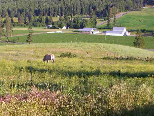 2175 Skeels Road Addy, WA 99101 - Photo 8 of 9