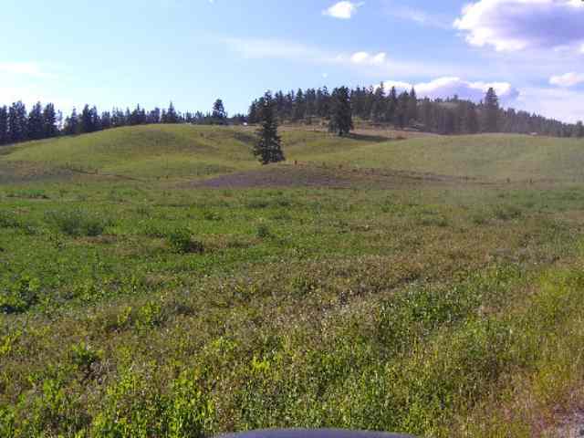 2175 Skeels Road Addy, WA 99101 - Photo 9 of 9