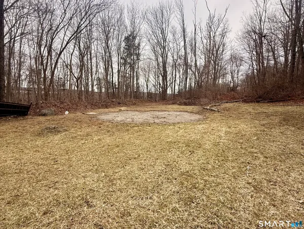 a view of a yard with large trees
