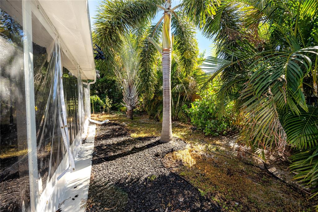 1869 Seton Drive Clearwater, FL 33763 - Photo 31 of 40 a view of a yard with plants and trees