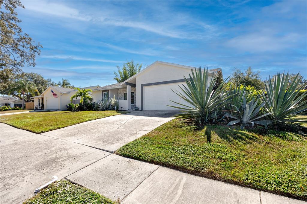 1869 Seton Drive Clearwater, FL 33763 - Photo 38 of 40 a view of a yard with yellow house