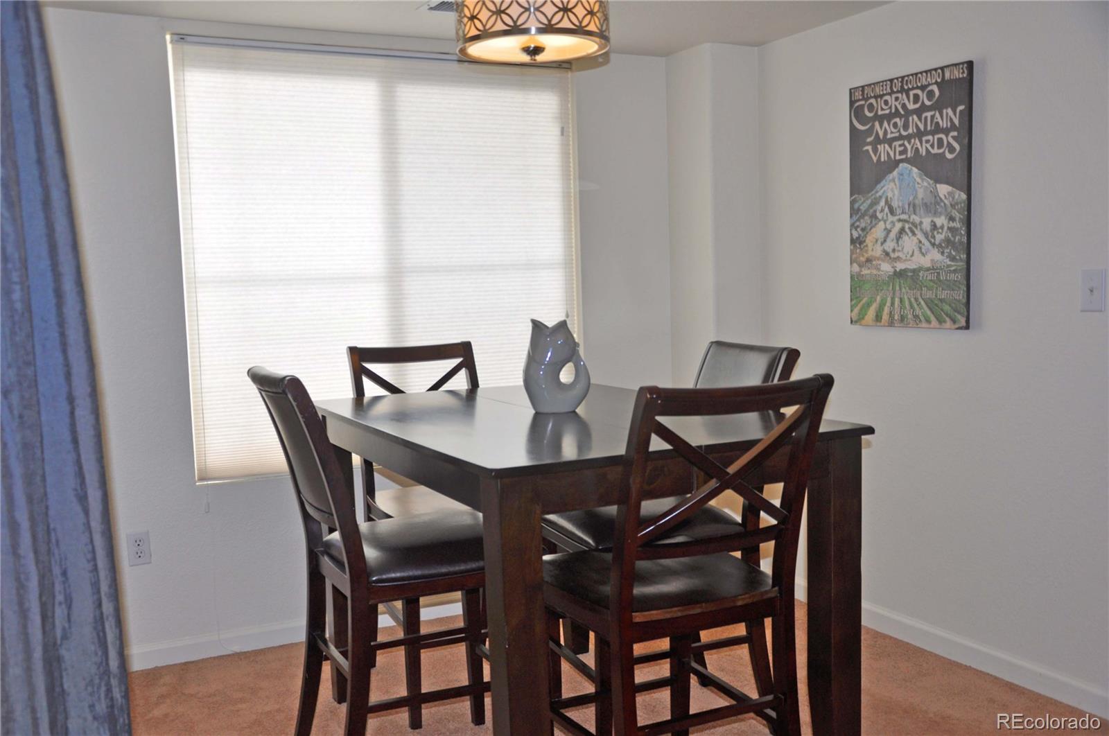 4465 Copeland Street, Unit 201 Highlands Ranch, CO 80126 - Photo 8 of 28