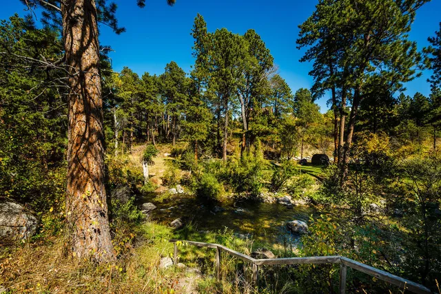 $240,000 | 39 Fish Hatchery Road, Story, WY 82842