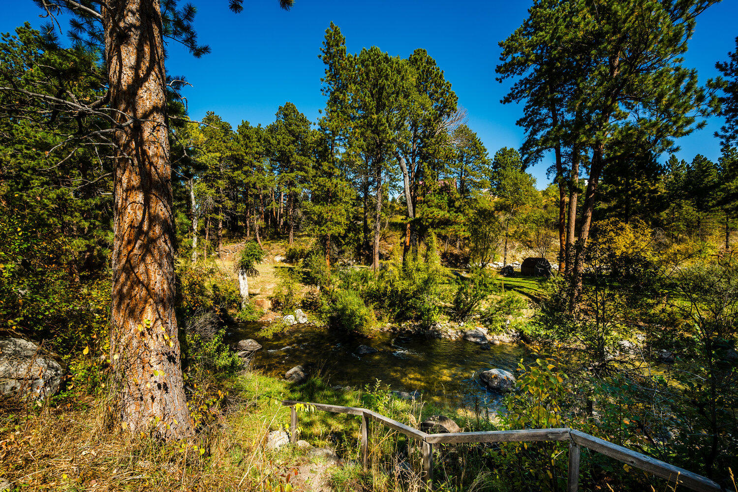 39 Fish Hatchery Road Story, WY 82842 - Photo 11 of 16 013_dsc_9569_123
