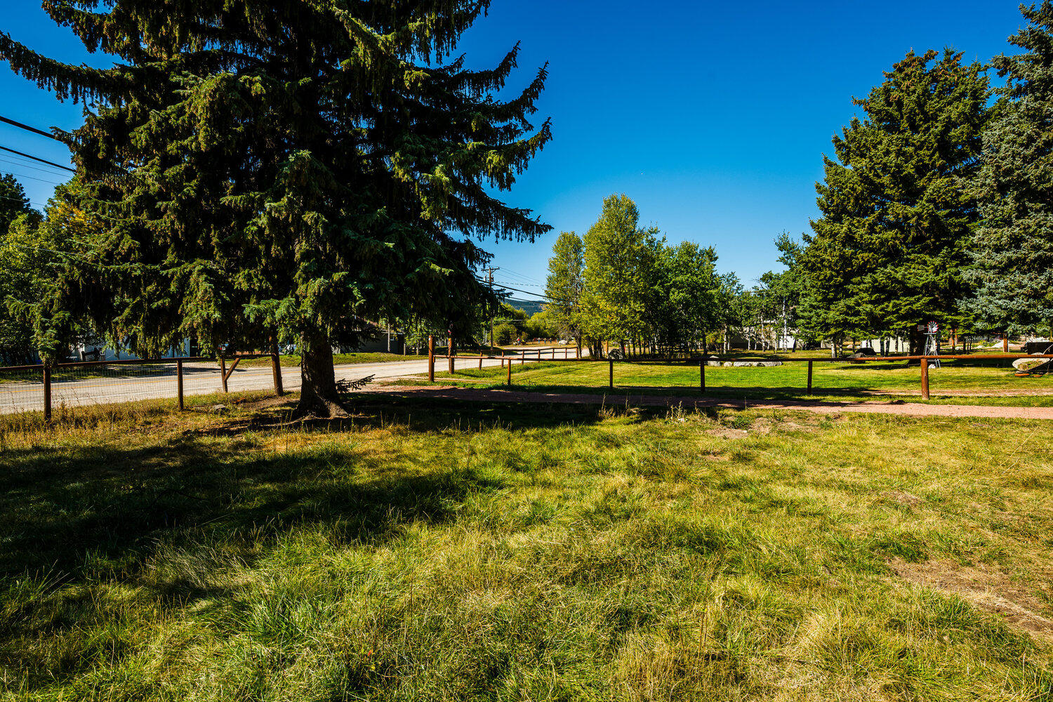 39 Fish Hatchery Road Story, WY 82842 - Photo 5 of 16 009_dsc_9565_431