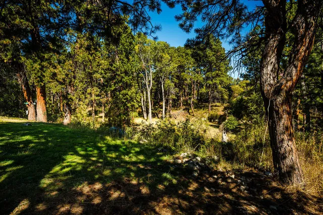 $240,000 | 39 Fish Hatchery Road, Story, WY 82842