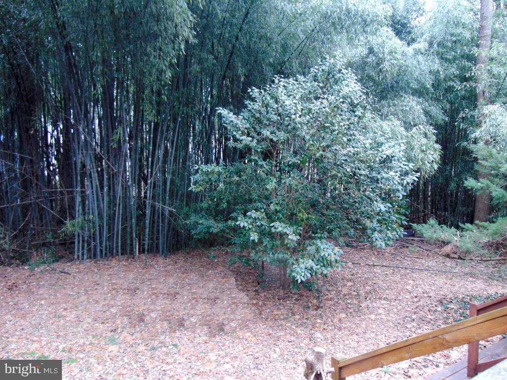 37 Capetown Road Ocean Pines, MD 21811 - Photo 20 of 54