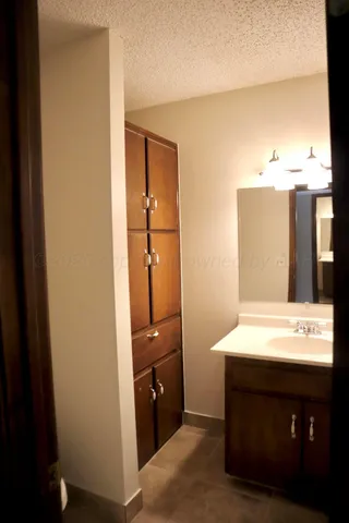 a bathroom with a sink a mirror and a shower