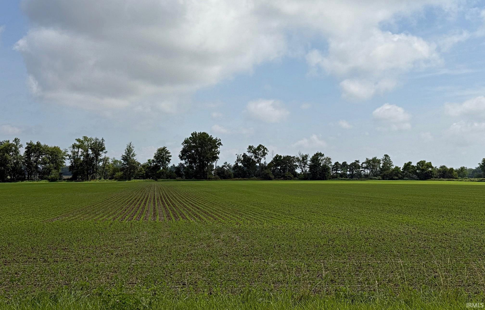 Base Road Lyons, IN 47443 - Photo 5 of 8