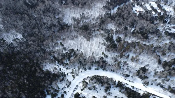 $129,000 | Lot 6 Wheeler Road, Rangeley, ME 04970