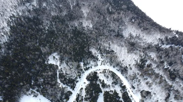 $129,000 | Lot 6 Wheeler Road, Rangeley, ME 04970