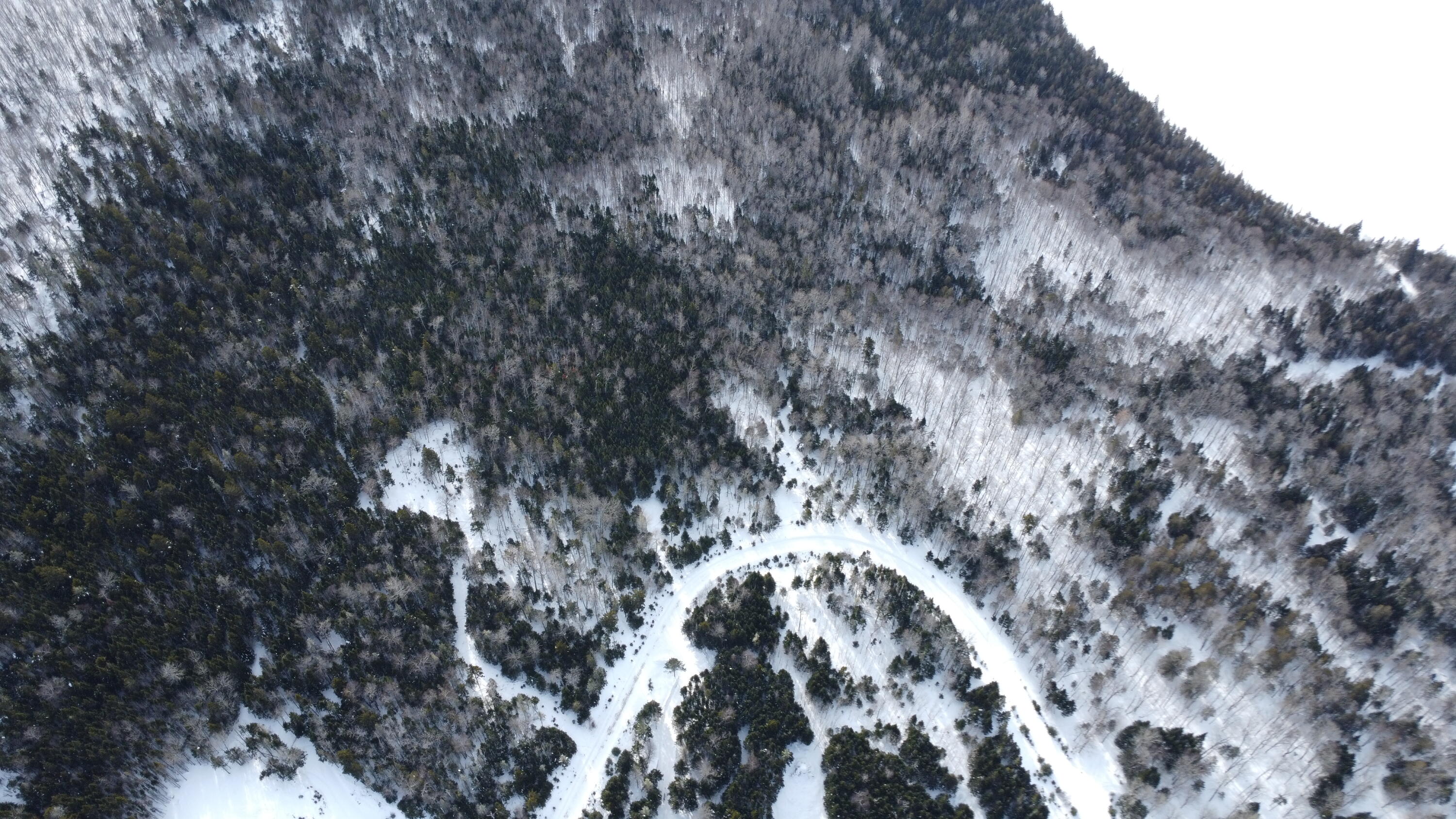 Lot 6 Wheeler Road Rangeley, ME 04970 - Photo 6 of 8 DJI_0348