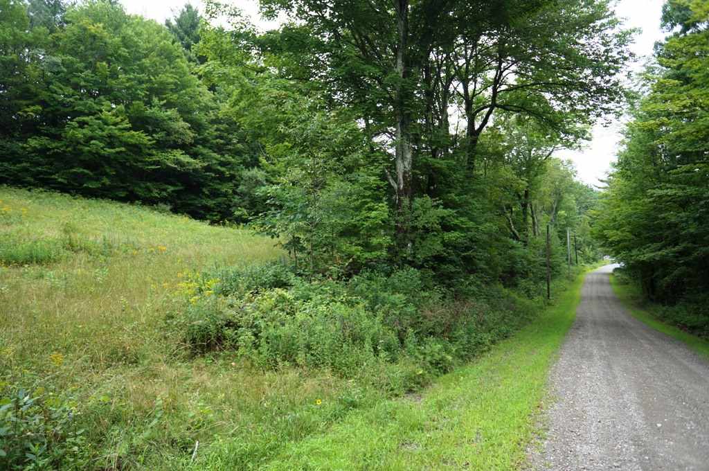 0 Rhoades Road, Unit 11C Alstead, NH 03602 - Photo 2 of 3