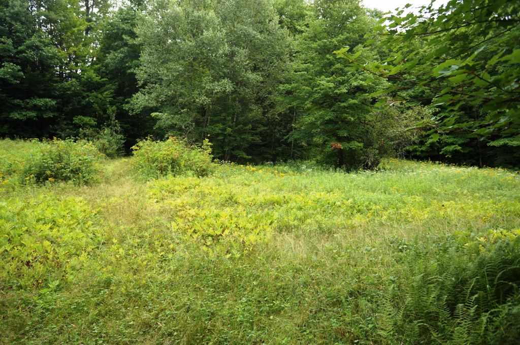 0 Rhoades Road, Unit 11C Alstead, NH 03602 - Photo 3 of 3