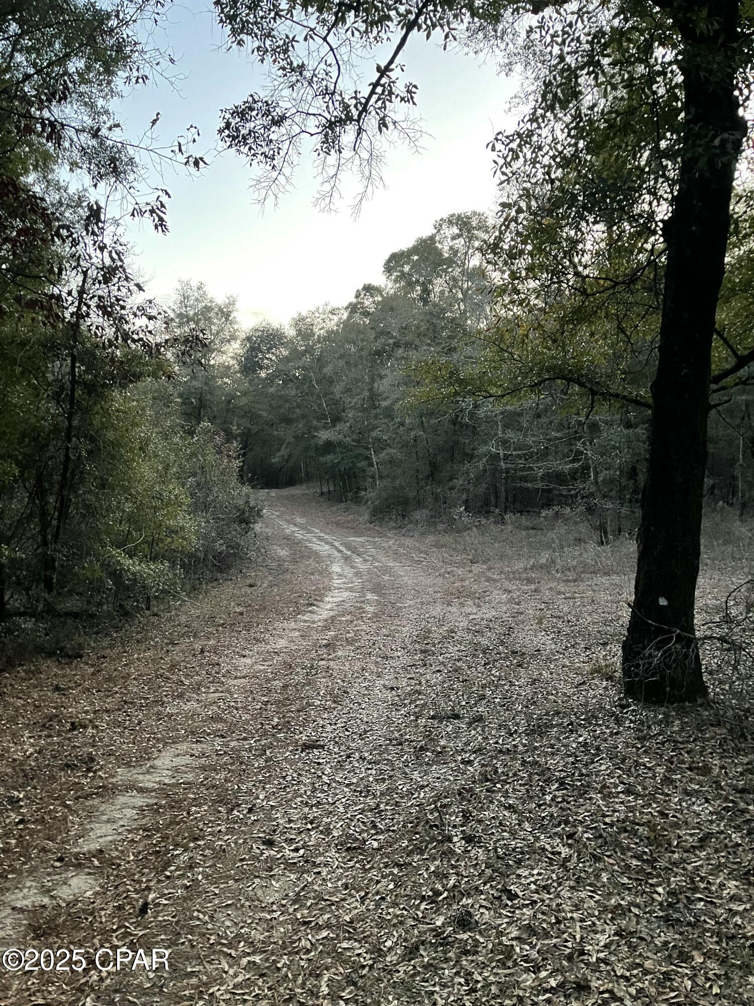 2711 Stallings Road Chipley, FL 32428 - Photo 11 of 20