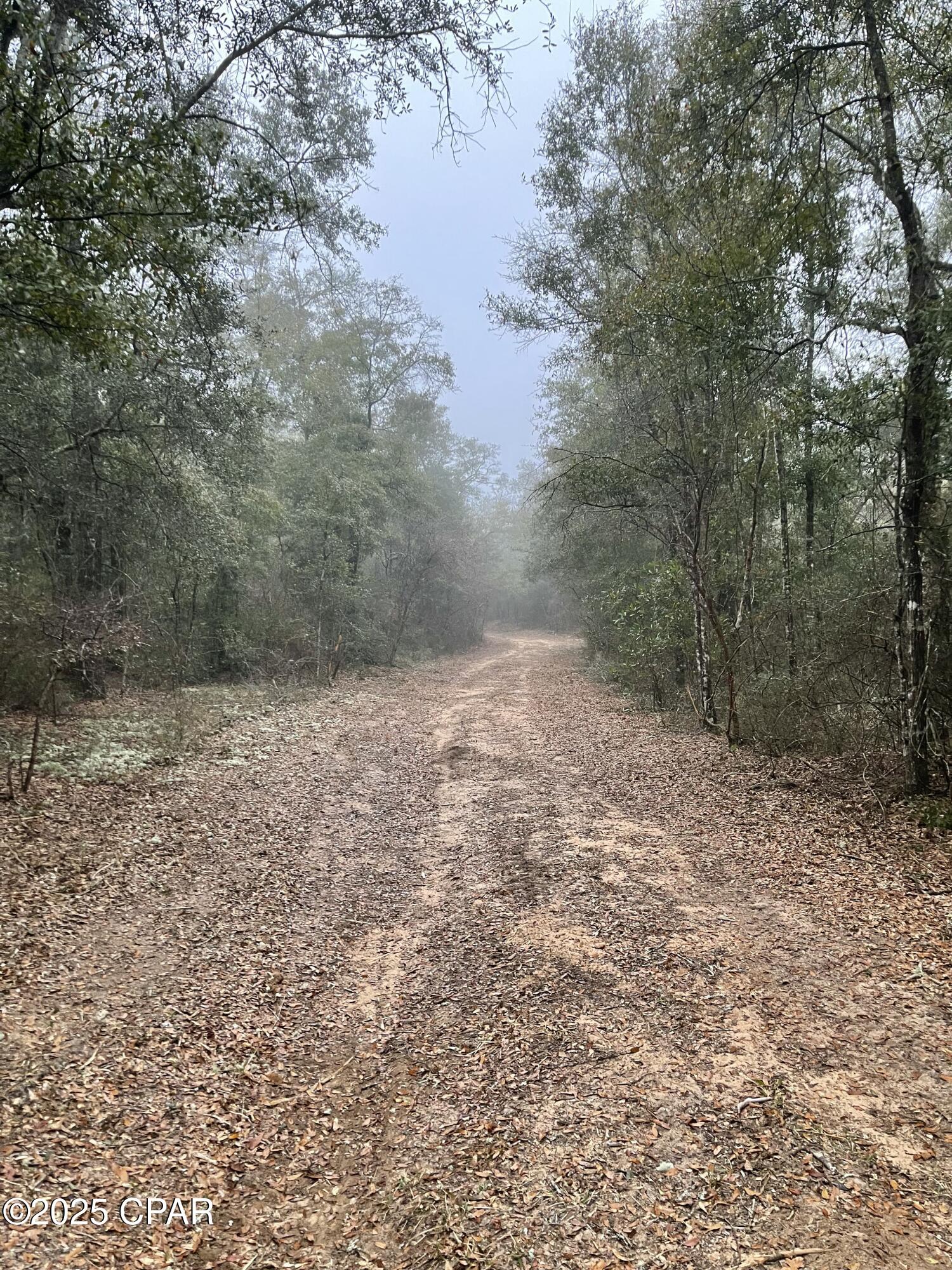 2711 Stallings Road Chipley, FL 32428 - Photo 12 of 20