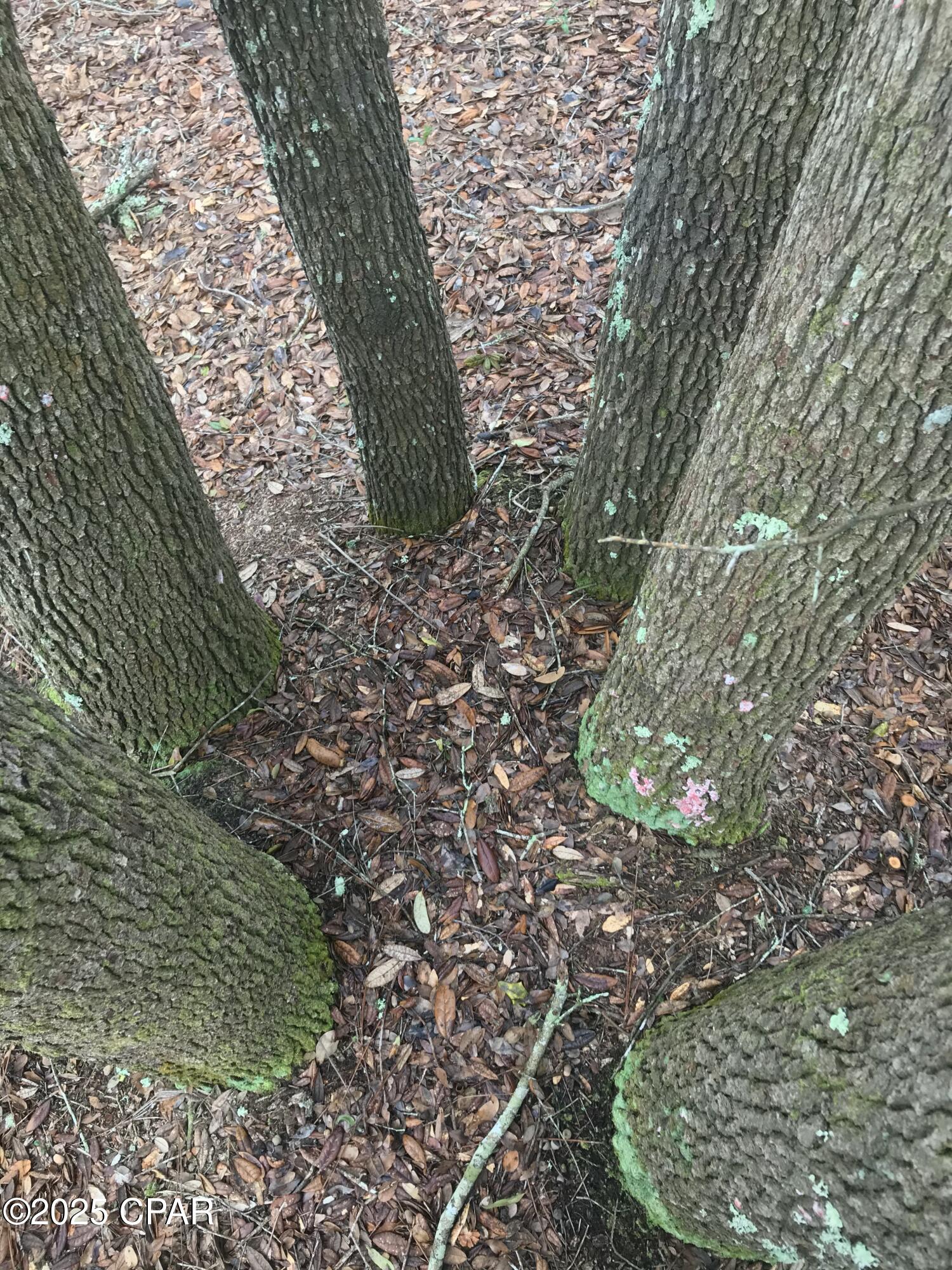 2711 Stallings Road Chipley, FL 32428 - Photo 13 of 20