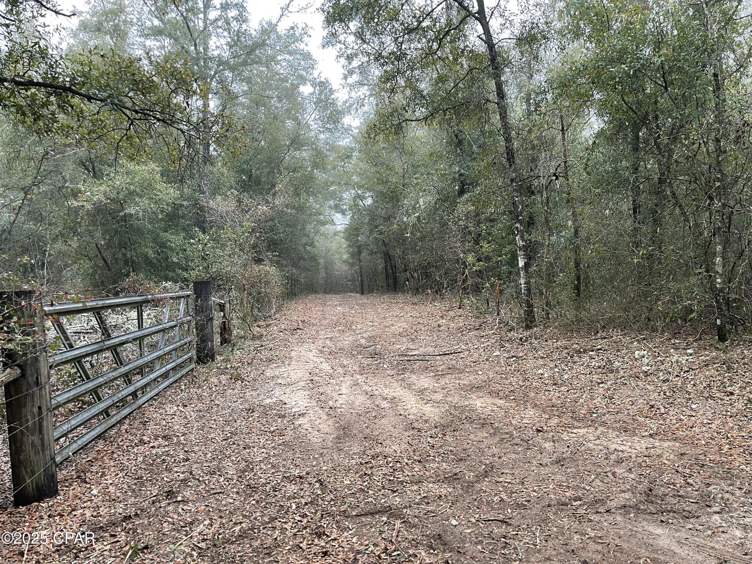 2711 Stallings Road Chipley, FL 32428 - Photo 14 of 20