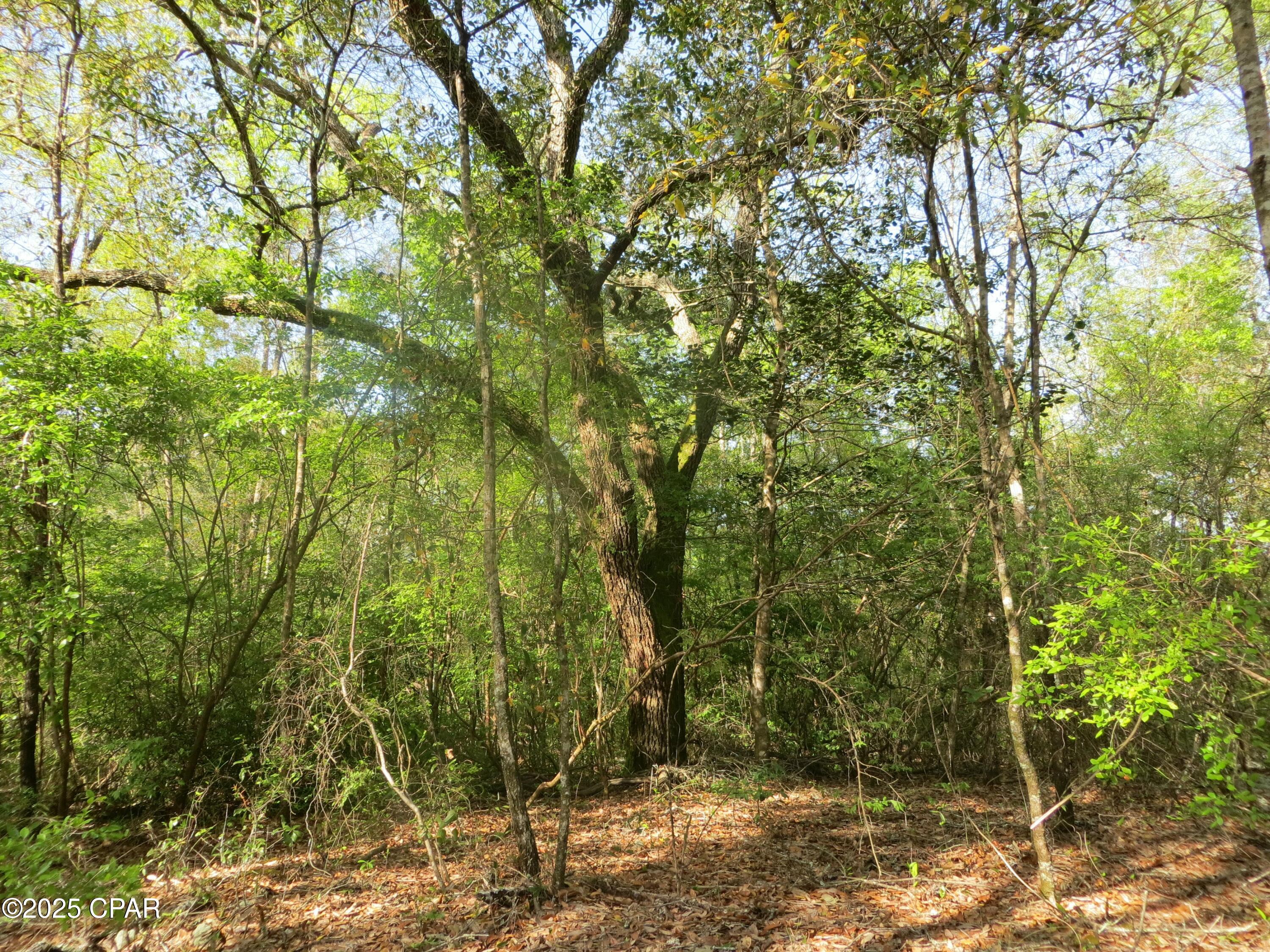 2711 Stallings Road Chipley, FL 32428 - Photo 15 of 20