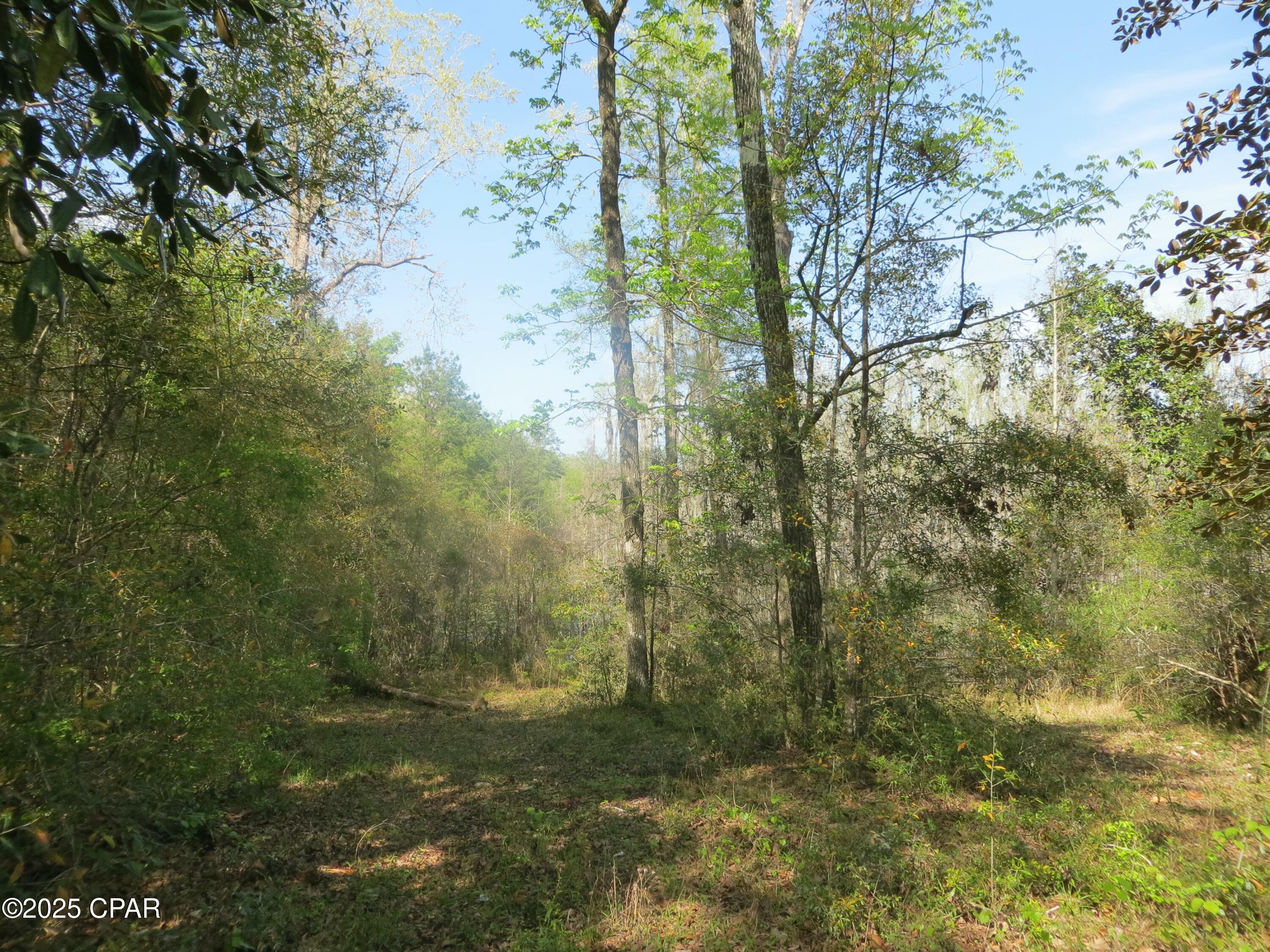 2711 Stallings Road Chipley, FL 32428 - Photo 18 of 20