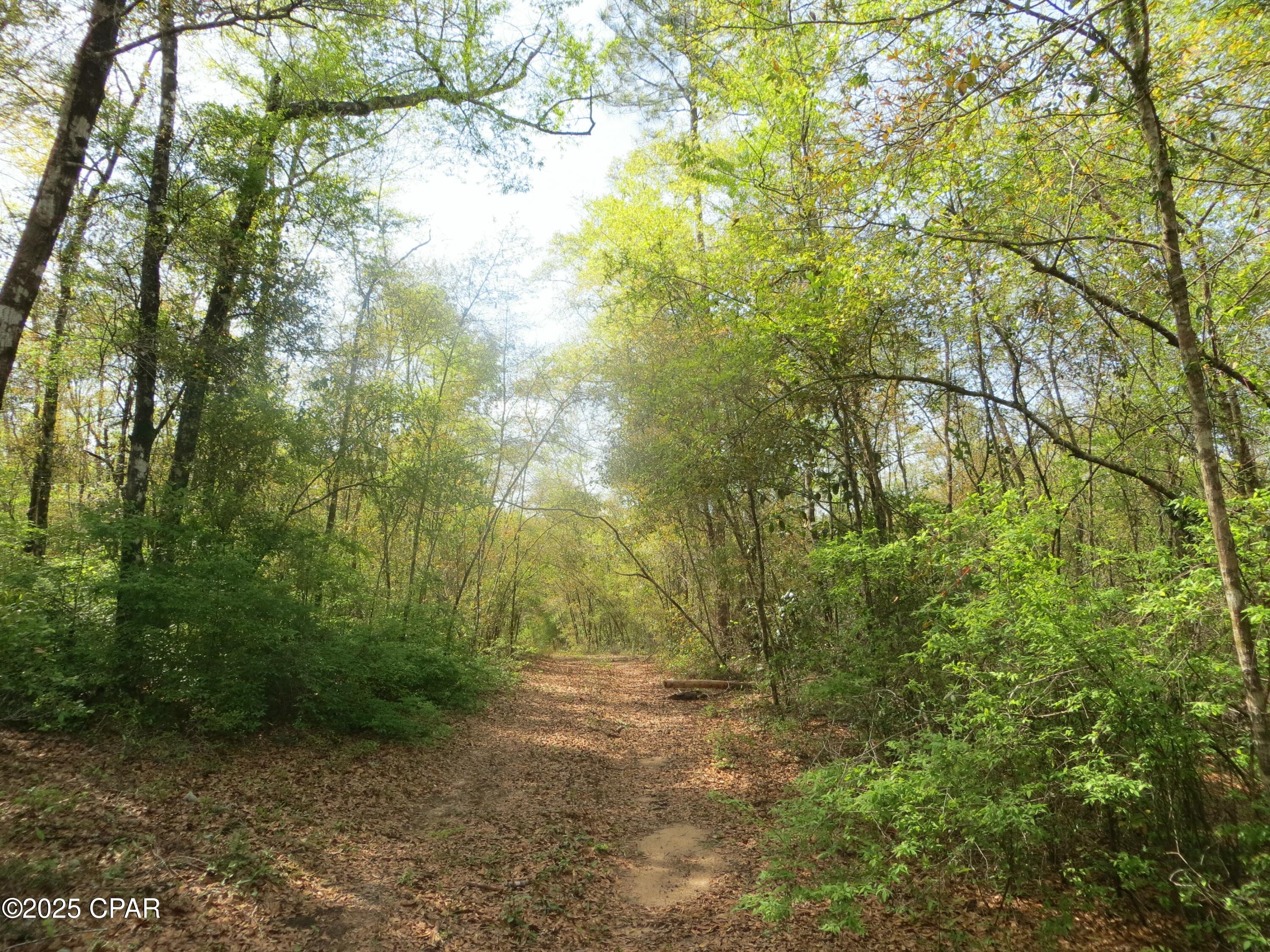 2711 Stallings Road Chipley, FL 32428 - Photo 2 of 20