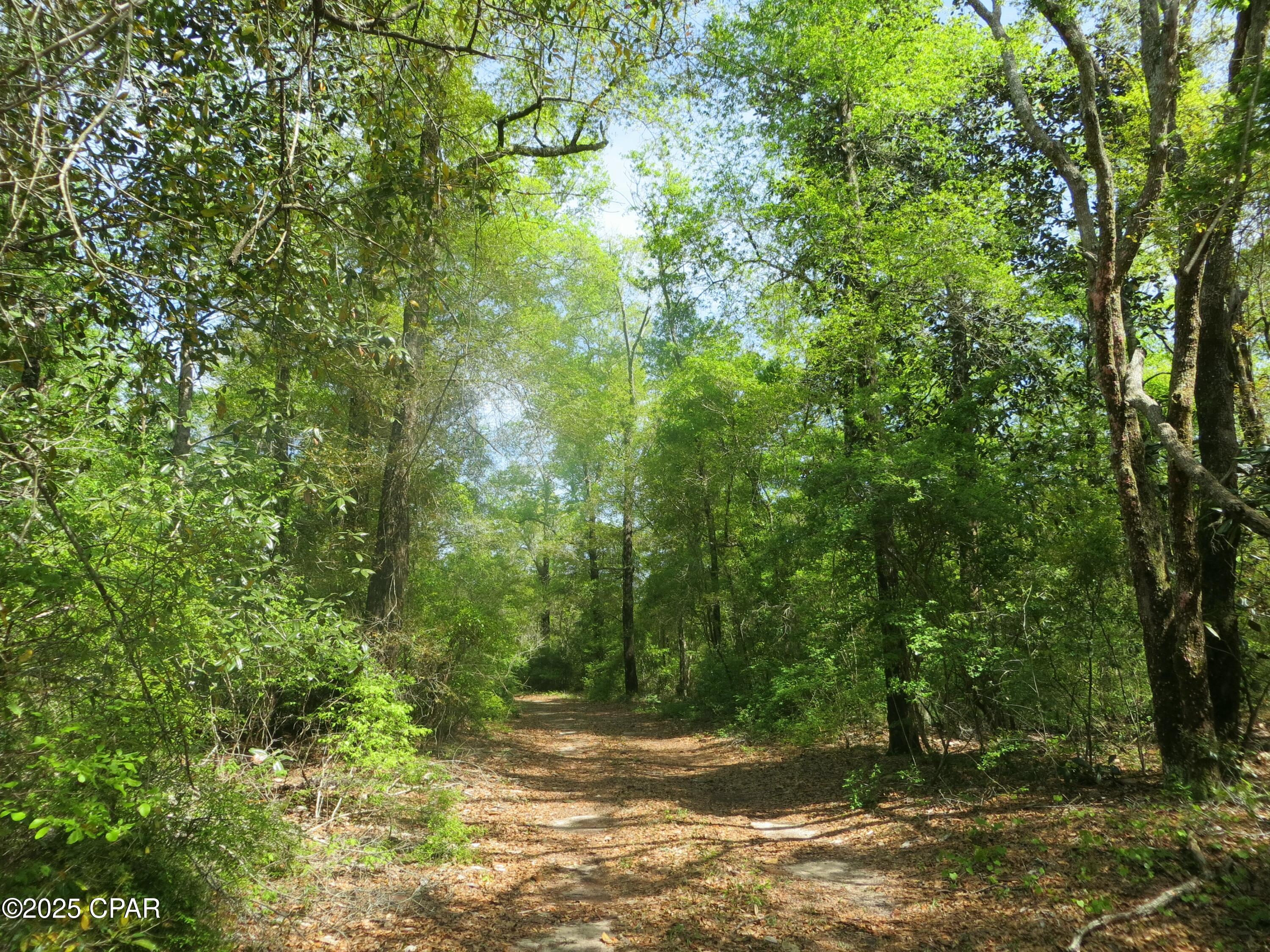 2711 Stallings Road Chipley, FL 32428 - Photo 4 of 20