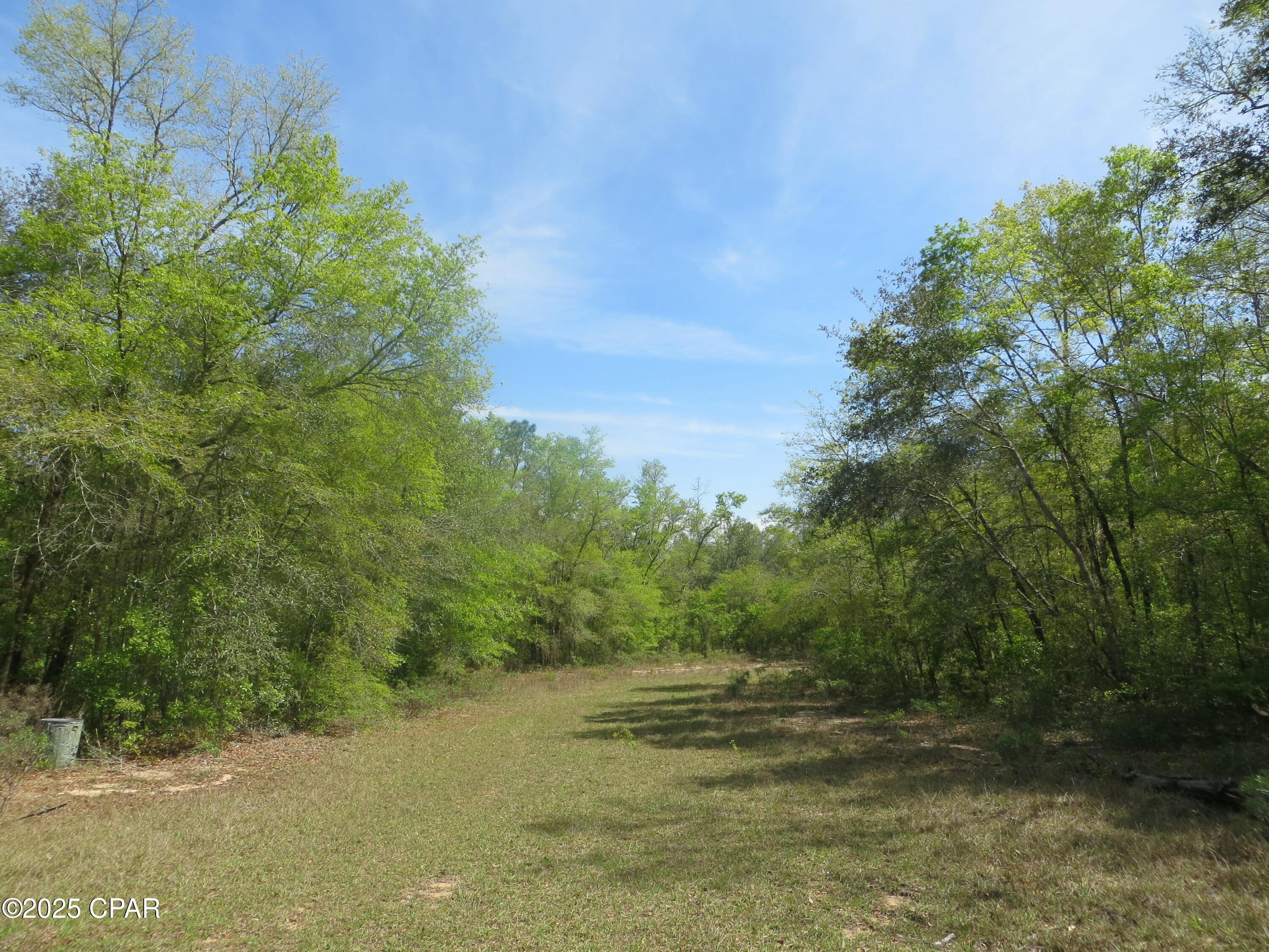2711 Stallings Road Chipley, FL 32428 - Photo 5 of 20