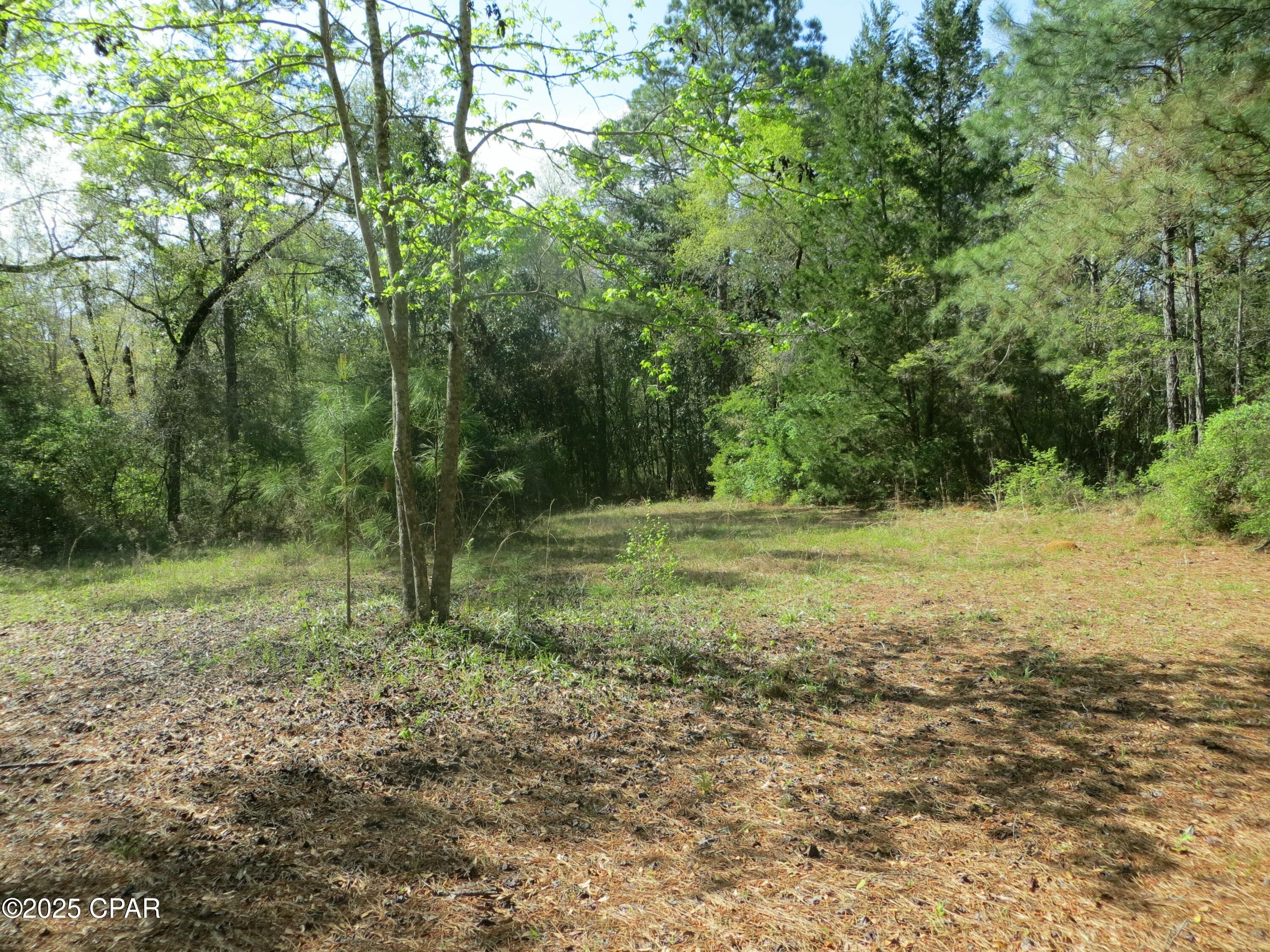 2711 Stallings Road Chipley, FL 32428 - Photo 6 of 20