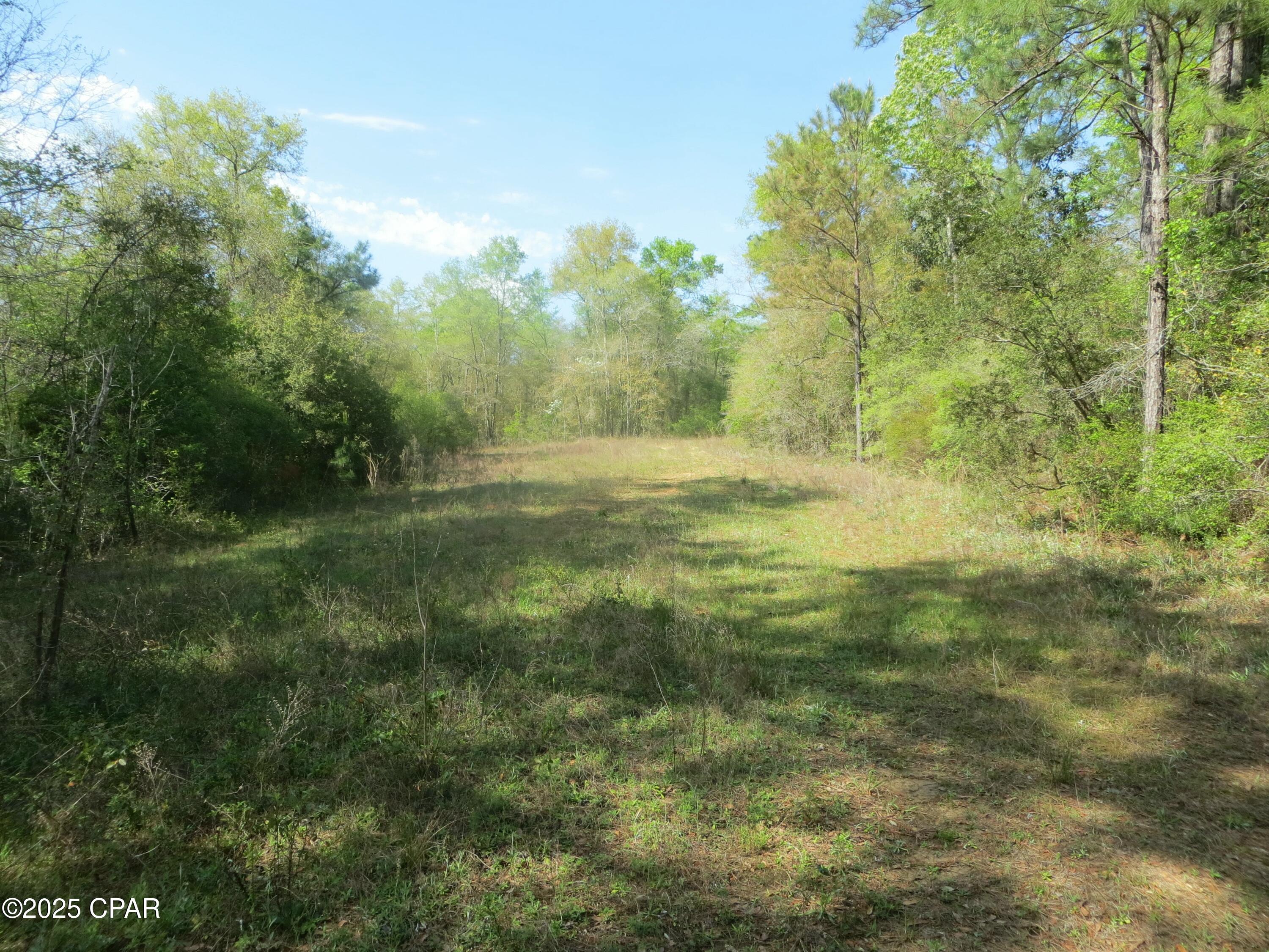 2711 Stallings Road Chipley, FL 32428 - Photo 7 of 20