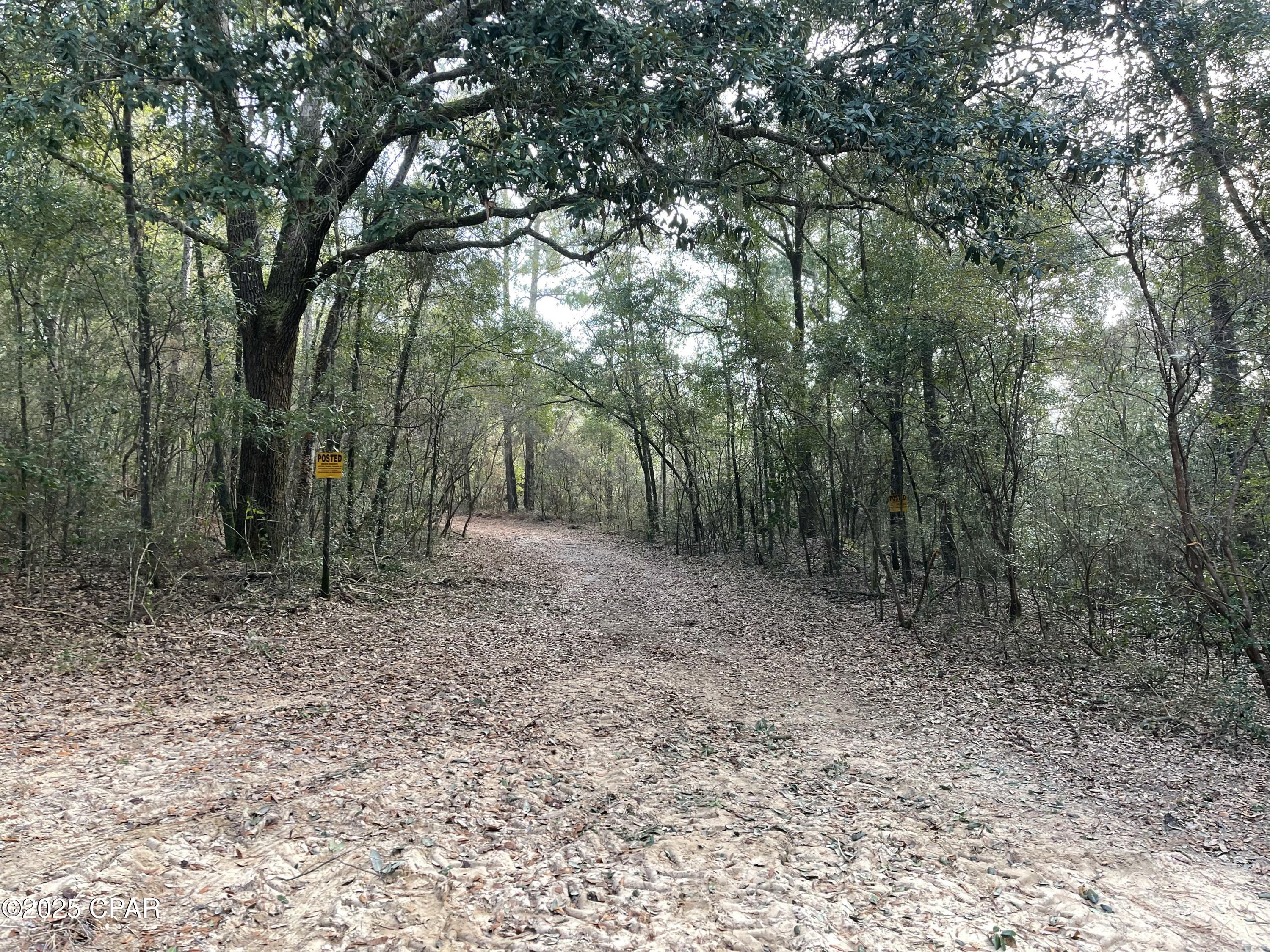 2711 Stallings Road Chipley, FL 32428 - Photo 9 of 20