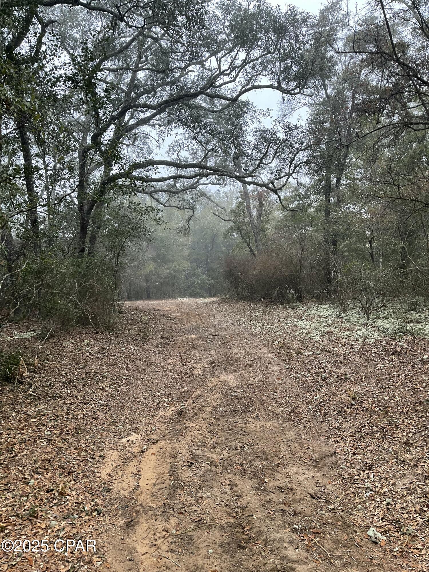 2711 Stallings Road Chipley, FL 32428 - Photo 10 of 20