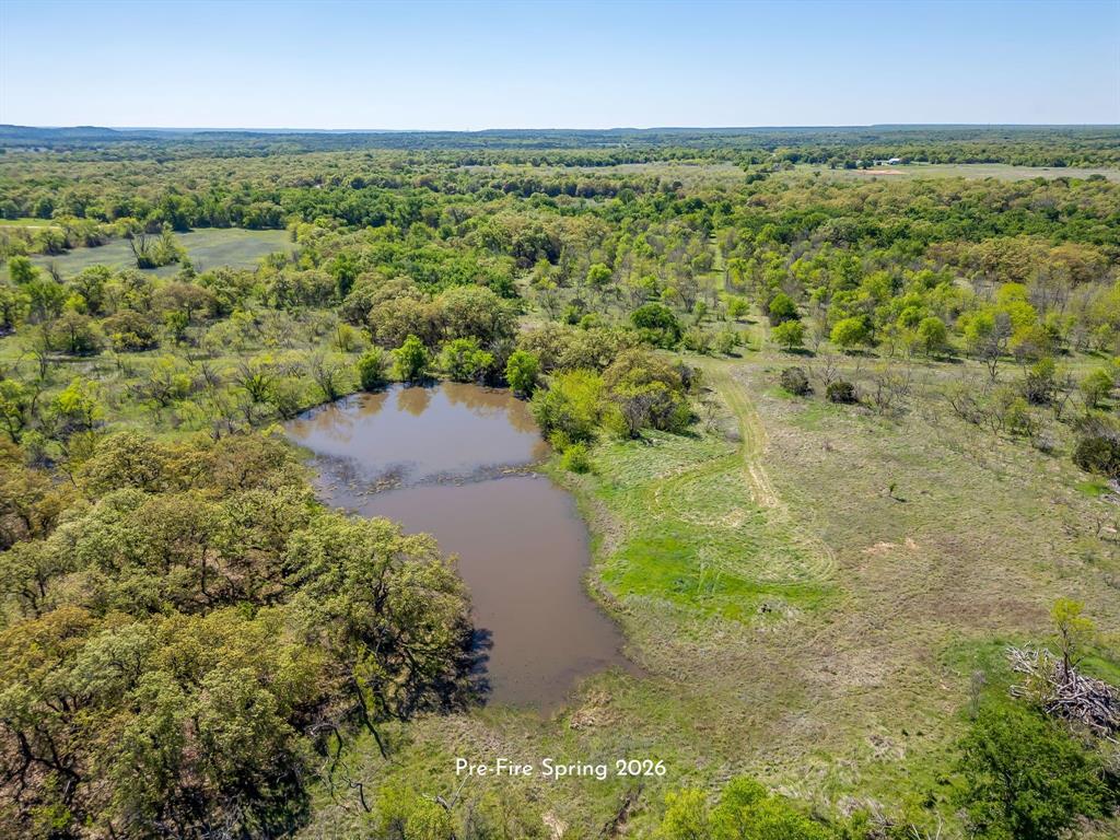 Tbd Teague Road Jacksboro, TX 76458 - Photo 11 of 19 Gallery Image 11