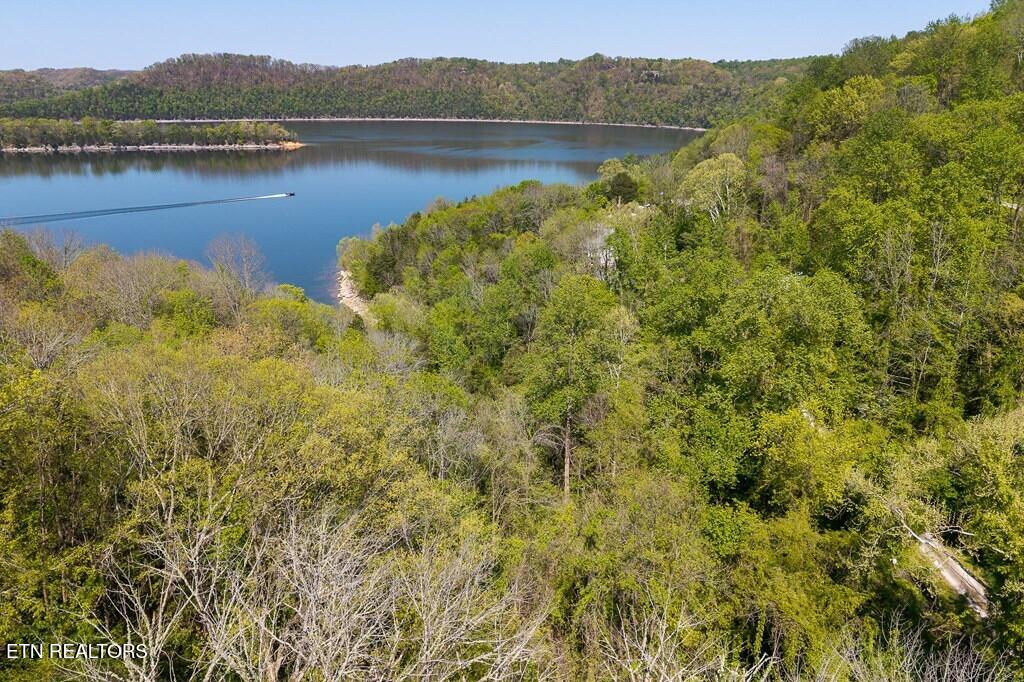 94 Austin Bottom Road Baxter, TN 38544 - Photo 12 of 19 243475_19