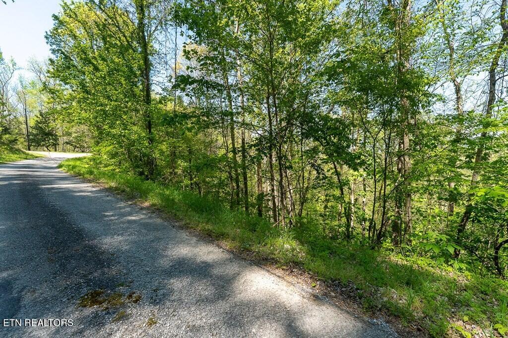 94 Austin Bottom Road Baxter, TN 38544 - Photo 13 of 19 243475_20