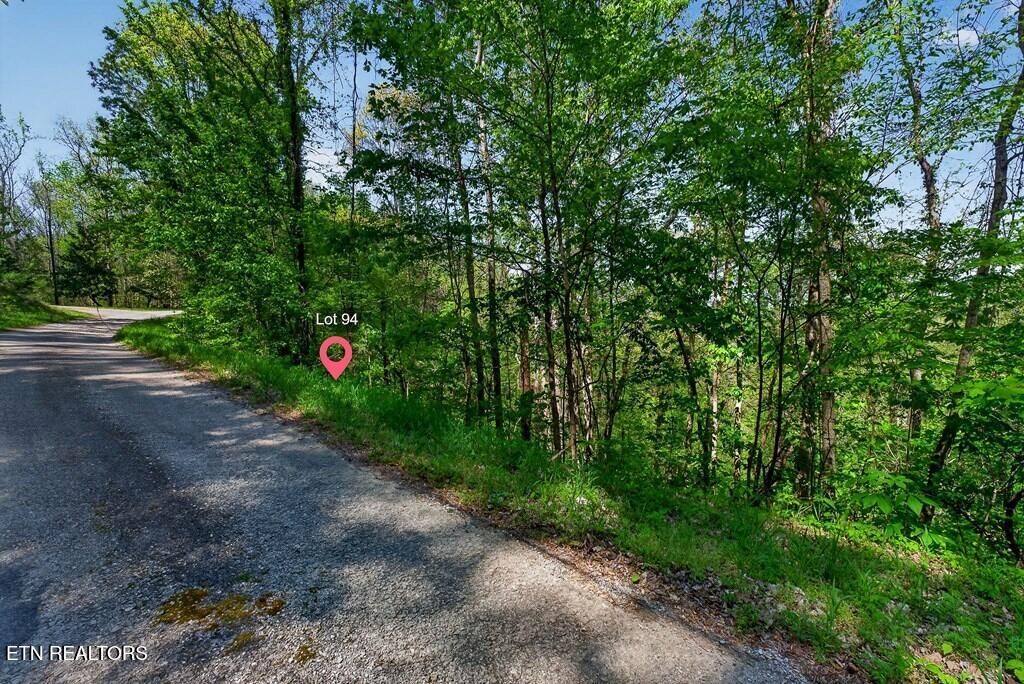 94 Austin Bottom Road Baxter, TN 38544 - Photo 14 of 19 243475_21