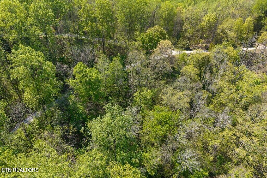 94 Austin Bottom Road Baxter, TN 38544 - Photo 5 of 19 243475_4