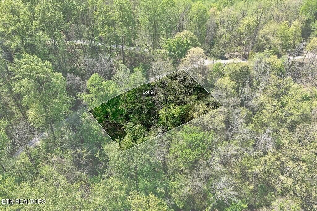 94 Austin Bottom Road Baxter, TN 38544 - Photo 6 of 19 243475_5