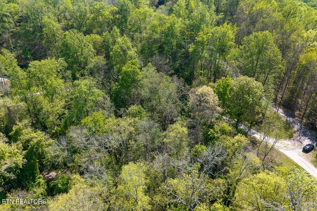94 Austin Bottom Road Baxter, TN 38544 - Photo 7 of 19 243475_7