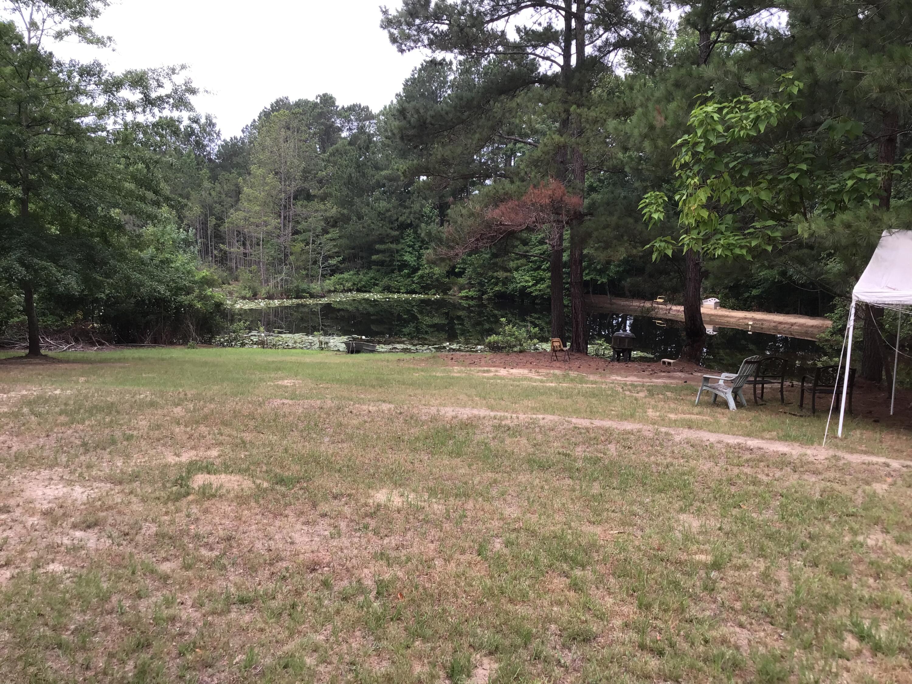 47 Peele Road Salley, SC 29137 - Photo 42 of 95
