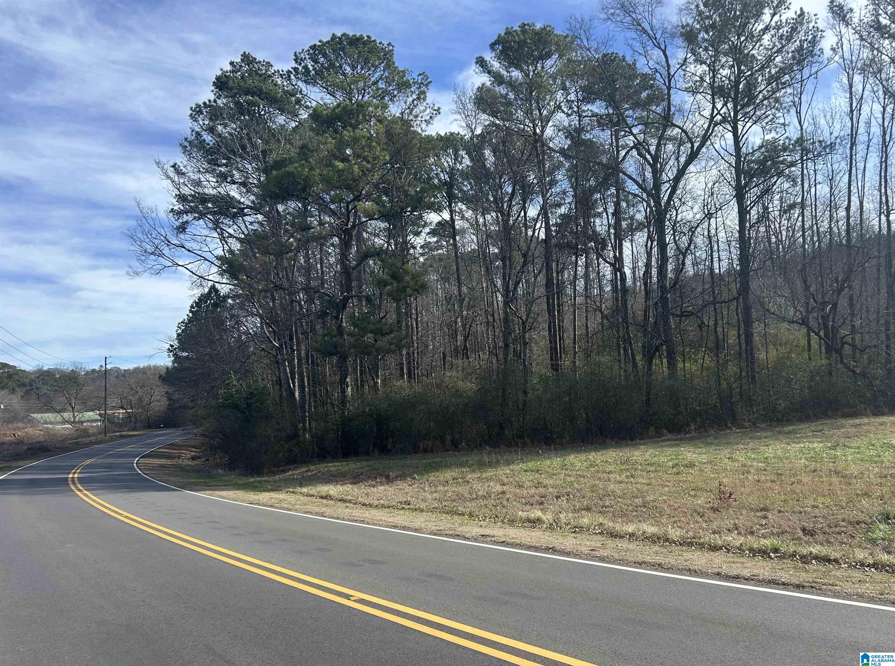 3450 Sweeney Hollow Road, Unit 20 ACRES Pinson, AL 35126 - Photo 3 of 6