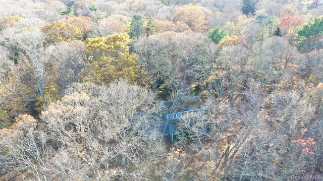 a close up of a plant with a plant