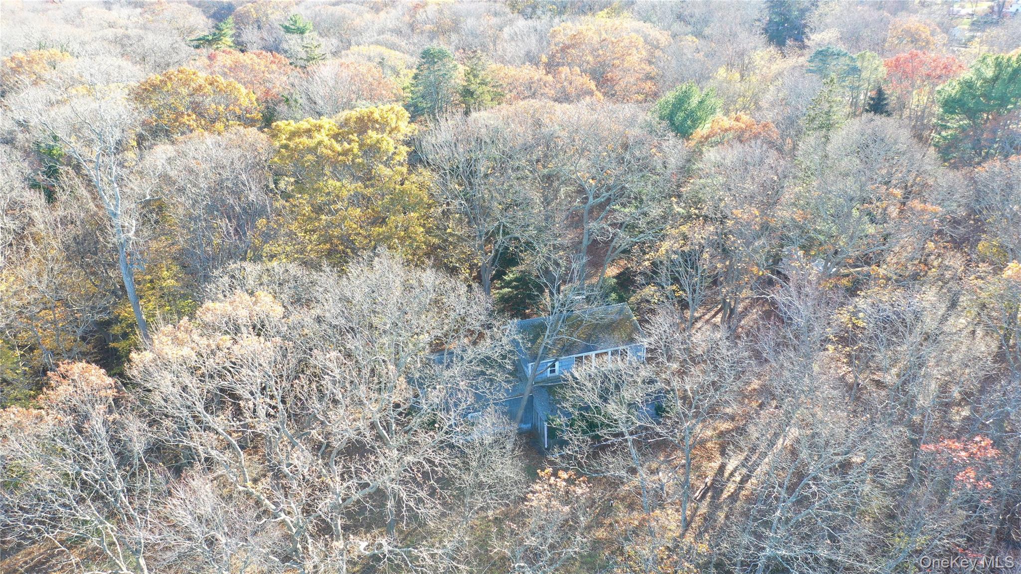 2788 North Wading River Road Wading River, NY 11792 - Photo 8 of 13 a close up of a plant with a plant