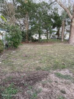 2453 Yale Road South Daytona, FL 32119 - Photo 8 of 9 IMG_5909