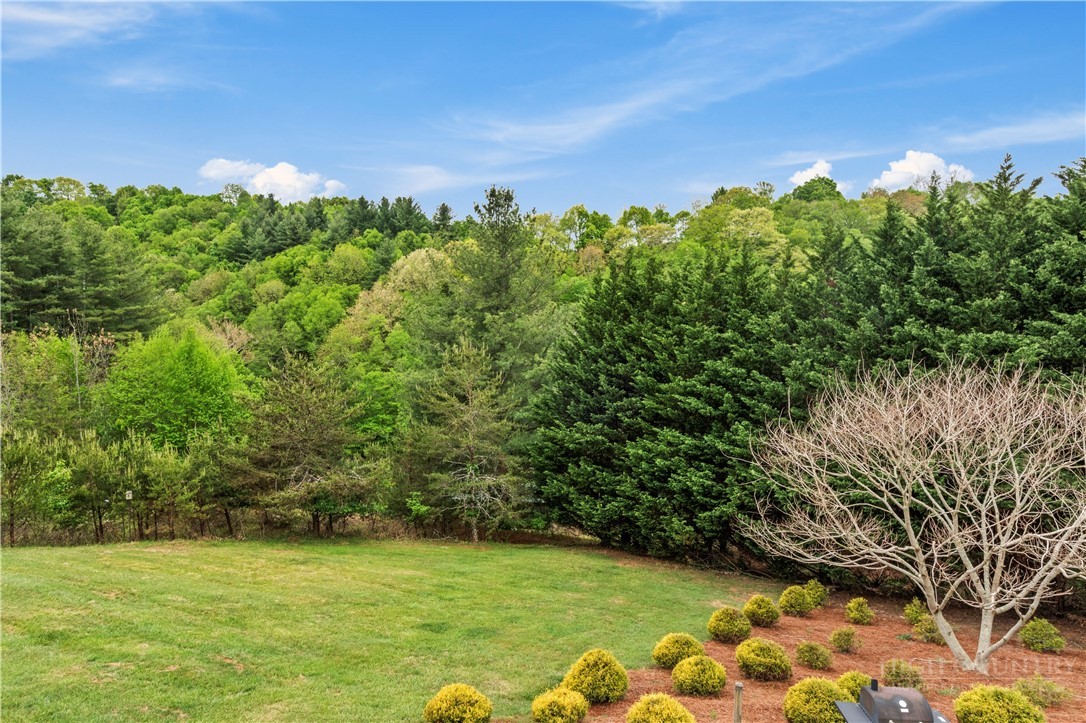 489 Buttons Lane Sparta, NC 28675 - Photo 25 of 30 a view of a garden